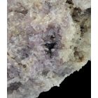 Ametiszt - Gyöngyösolymos