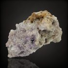 Ametiszt - Gyöngyösolymos