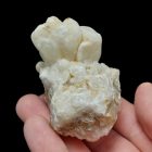 Aragonit - Pilisjászfalu