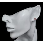 Gránát ezüst fülbevaló