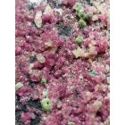 Kobaltkalcit - Kongó