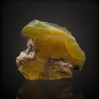 Mézopál - Telkibánya