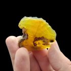 Mézopál - Telkibánya