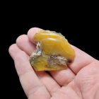 Mézopál - Telkibánya