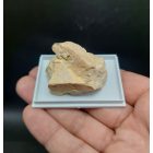 Ortoklász - Pákozd