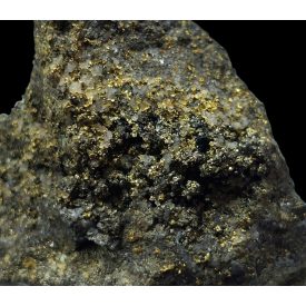 Termésrany - Argentina