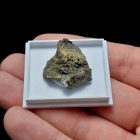 Termésrany - Argentina