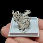 Termésezüst - Marokkó