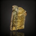 Tigrisszem - Dél-Afrika