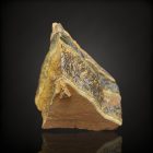 Tigrisszem - Dél-Afrika