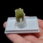 Turmalin - Pakisztán