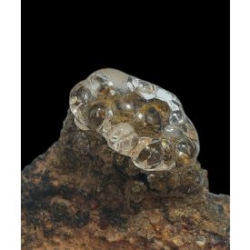 Üvegopál (hialit) - Gyöngyössolymos