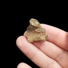 Üvegopál (hialit) - Gyöngyössolymos