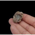 Üvegopál (hialit) - Monok